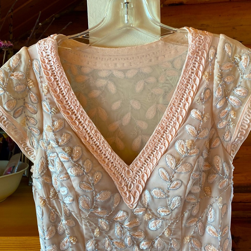 Sue Wong dress size 4. Exquisite!